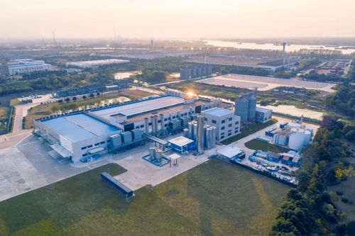 燕麥奶巨頭Oatly 2021年財(cái)報(bào)解讀 總收入超6億美元，為何能超越市場預(yù)期？